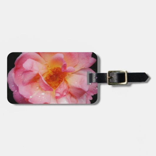 Roze roze met dauwdruppels zwarte achtergrond bagagelabel (Voorkant horizontaal)