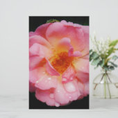 Roze roze met dauwdruppels zwarte achtergrond briefpapier (Staand voorkant)