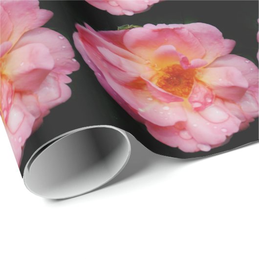 Roze roze met dauwdruppels zwarte achtergrond cadeaupapier (Rol Hoek)