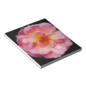 Roze roze met dauwdruppels zwarte achtergrond notitieblok (Schuin)