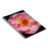 Roze roze met dauwdruppels zwarte achtergrond notitieboek (Rechterzijde)
