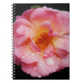 Roze roze met dauwdruppels zwarte achtergrond notitieboek (Voorkant)