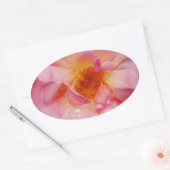 Roze roze met dauwdruppels zwarte achtergrond ovale sticker (Envelop)