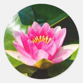 Roze, roze, met groene bladeren ronde sticker