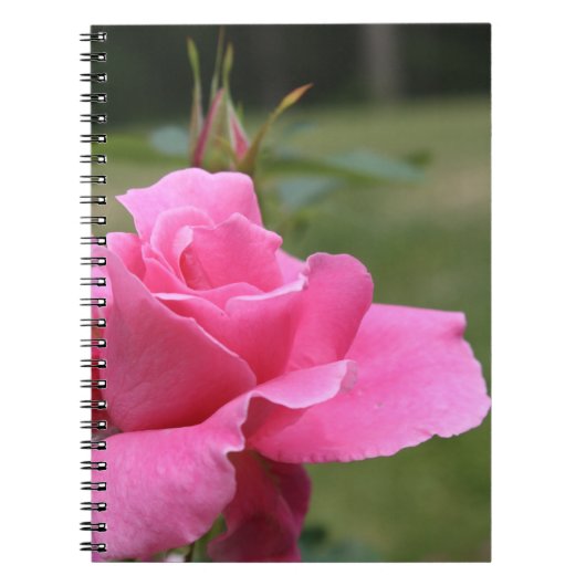 Roze roze notitieboek (Voorkant)