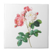 Roze roze  onderdruk tegeltje (Voorkant)