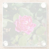 Roze roze onderzetter (Achterkant)