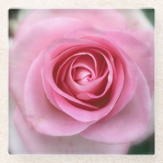 Roze roze Onderzetter van glas (Voorkant)