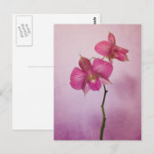 Roze roze orchidee bloesems Briefkaart (Voorkant / Achterkant)