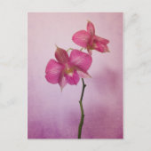 Roze roze orchidee bloesems Briefkaart (Voorkant)