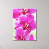 roze roze orchideeën canvas afdruk (Voorkant)