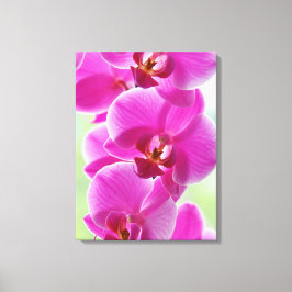 roze roze orchideeën canvas afdruk