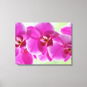 roze roze orchideeën canvas afdruk (Voorkant)