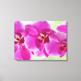 roze roze orchideeën canvas afdruk