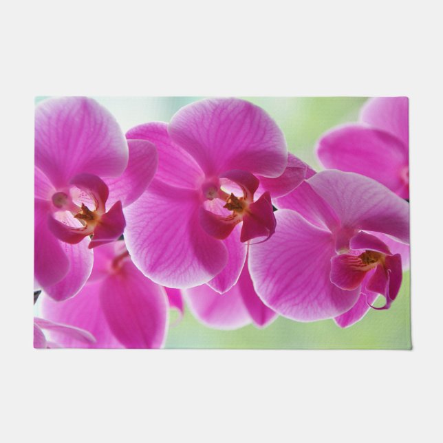 roze roze orchideeën deurmat (Voorkant)