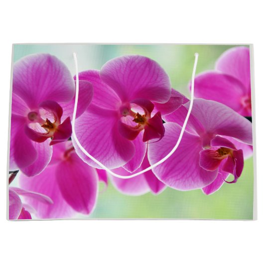 roze roze orchideeën groot cadeauzakje (Voorkant)