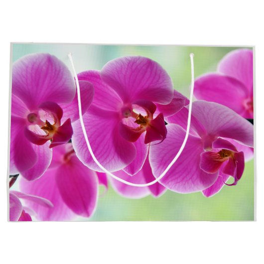 roze roze orchideeën groot cadeauzakje (Achterkant)