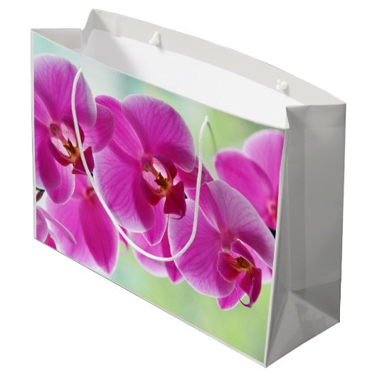 roze roze orchideeën groot cadeauzakje (Achterkant Gekanteld)
