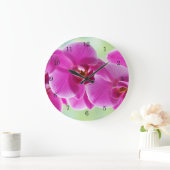 roze roze orchideeën grote klok (Huis)