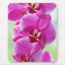 roze roze orchideeën muismat