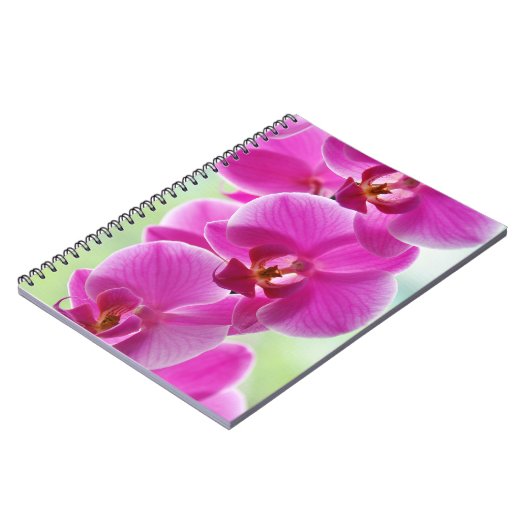 roze roze orchideeën notitieboek (Linkerzijde)