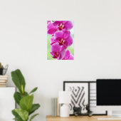 roze roze orchideeën poster (Thuiskantoor)