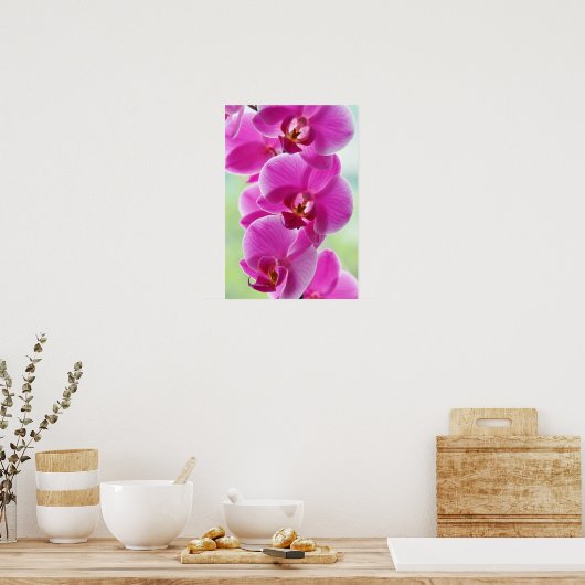 roze roze orchideeën poster (Keuken)