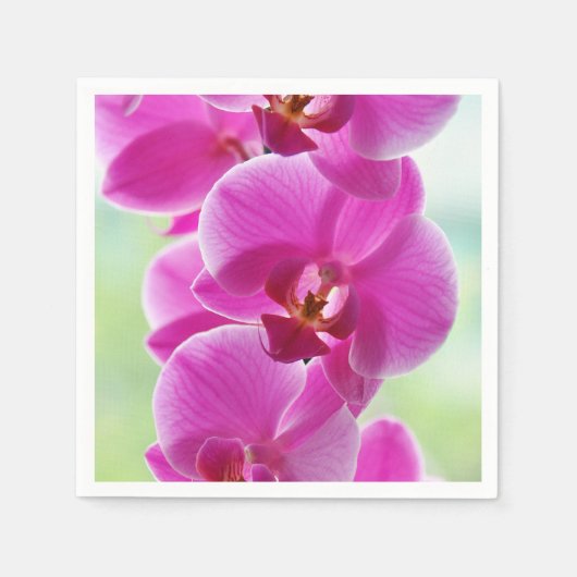 roze roze orchideeën servet (Voorkant)