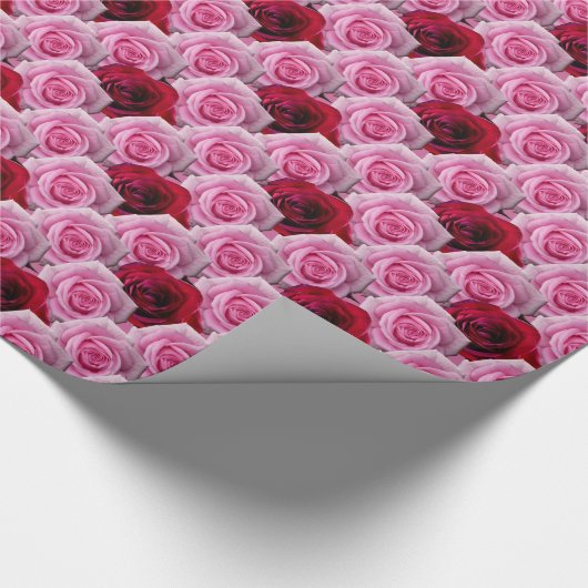 Roze roze papierpap voor romantisch Roos Cadeaupapier (Hoek)