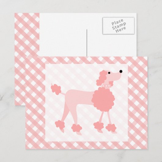 Roze Roze Podle Briefkaart (Voorkant / Achterkant)