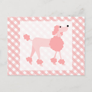 Roze Roze Podle Briefkaart