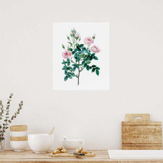 Roze roze poster (Keuken)