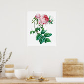 Roze roze poster (Keuken)