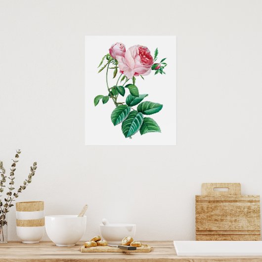 Roze roze poster (Keuken)