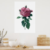 Roze roze poster (Keuken)