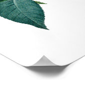 Roze roze poster (Hoek)