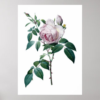 Roze roze poster