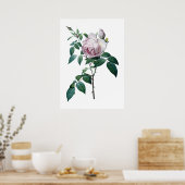 Roze roze poster (Keuken)