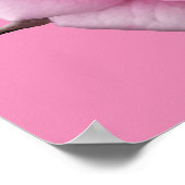 Roze roze Poster Afdrukken Schitterende, langwerpi (Hoek)