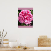 Roze roze Poster voor vuilnisbak (Keuken)