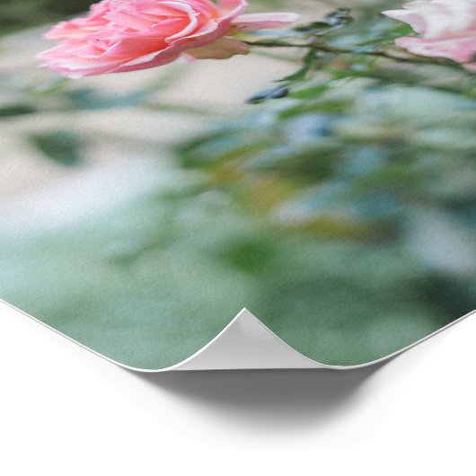 Roze Roze Roden Bijbelse Verse Poster (Hoek)