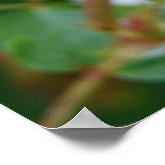 Roze roze rooddruk - Selecteer je Lijst Poster (Hoek)