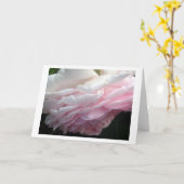 Roze roze roodgloeidraad of notitiekaarten (Gele Bloem)