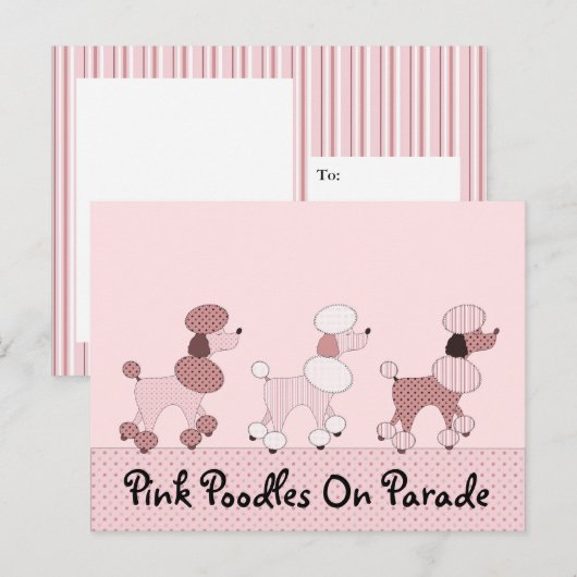 Roze roze roodjes op Briefkaart van de parade (Voorkant / Achterkant)