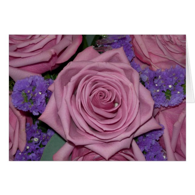 roze roze roos (Voorkant Horizontaal)