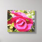 Roze roze roos #2 canvas afdruk (Voorkant)