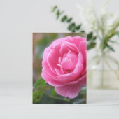 roze roze roos briefkaart (Staand voorkant)