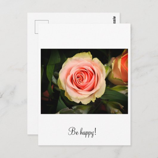 Roze roze roos briefkaart (Voorkant / Achterkant)