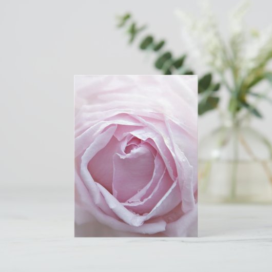 Roze roze roos briefkaart (Staand voorkant)