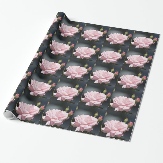 roze roze roos cadeaupapier (Uitgerold)